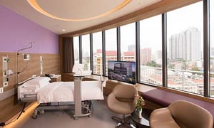 Farrer Park Hospital Summary Image