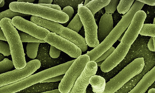 The-Role-of-Airborne-Bacteria-in-NHS-Infection-Control
