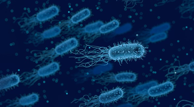 Blue Swimming Protozoa